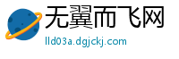 无翼而飞网